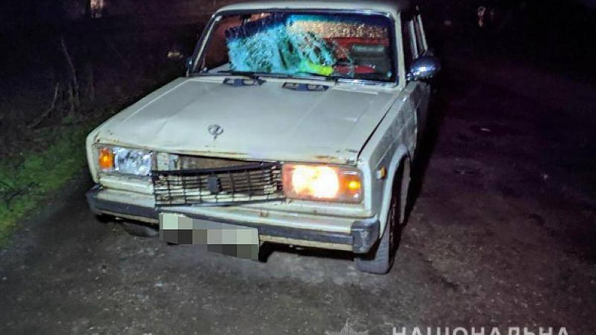 В Бердянському районі внаслідок ДТП загинув пішохід