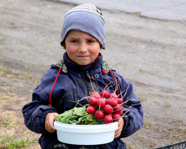 Запорожский регион: фермеры отдают овощи за бесценок