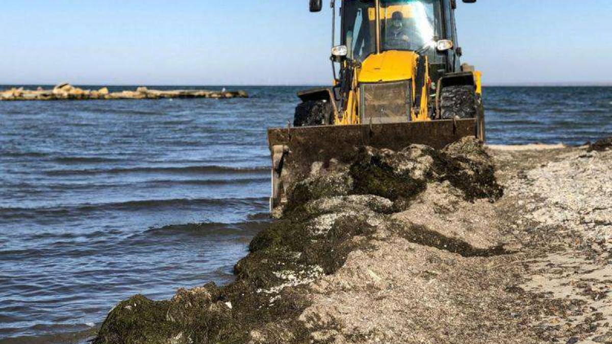 В Бердянске коммунальщики очистили пляжи от водорослей