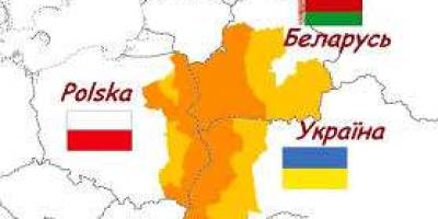 Українських підлітків залучають до більш зеленого майбутнього