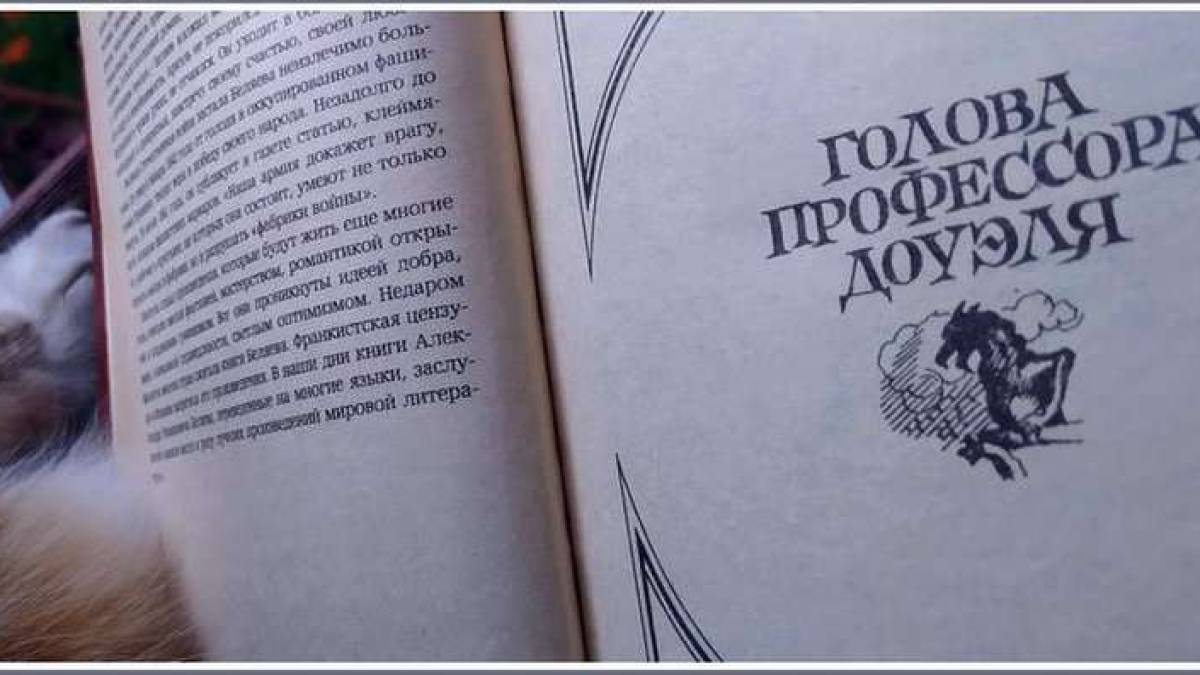 В Запорожье за профессорскую голову просят меньше, чем за булку хлеба