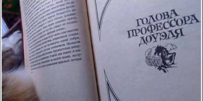 В Запорожье за профессорскую голову просят меньше, чем за булку хлеба
