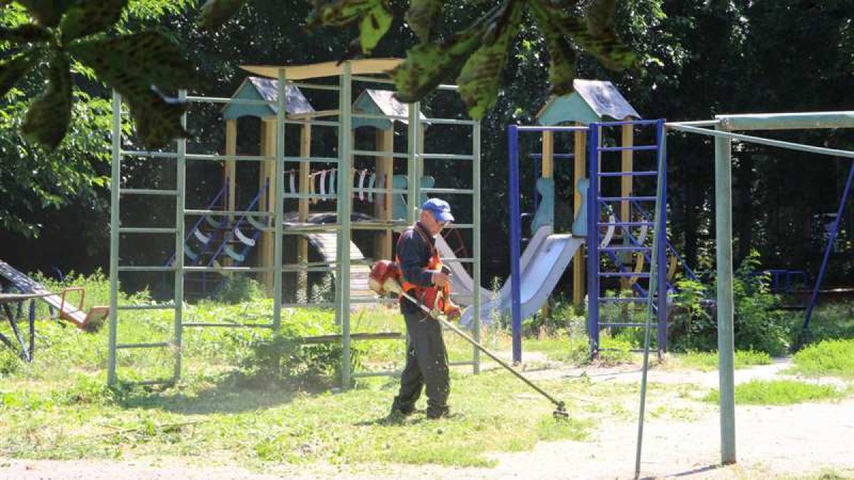 В Вознесеновском районе Запорожья борются с карантинными растениями