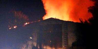 У Гуляйполі на пожежі загинуло майже 40 свиней