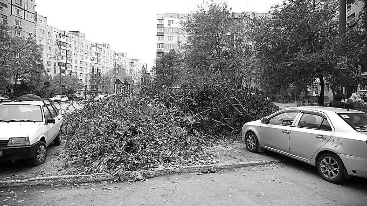 Приколы нашего городка
