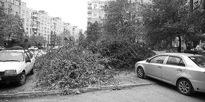 Приколы нашего городка