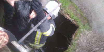 На Запоріжжі рятувальники витягли з колодязя двох собак