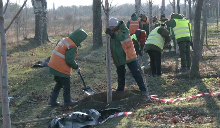В Запорожье высадили новые деревья