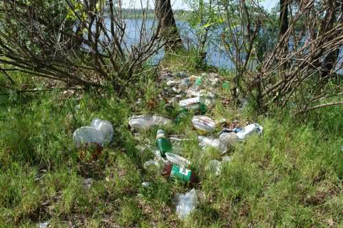 Пластиковая пандемия: как ее остановить