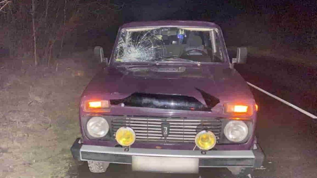 Поліція встановлює обставини ДТП поблизу Молочанська