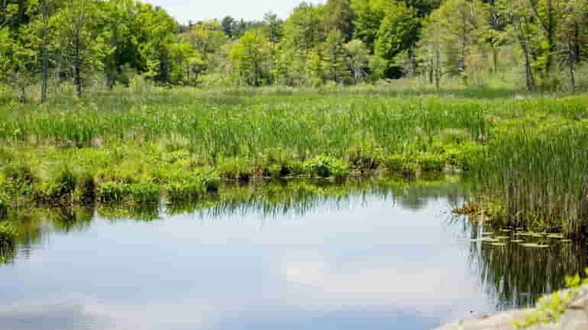 В Україні розпочали «перезавантаження» водної політики
