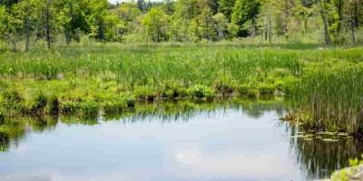 В Україні розпочали «перезавантаження» водної політики