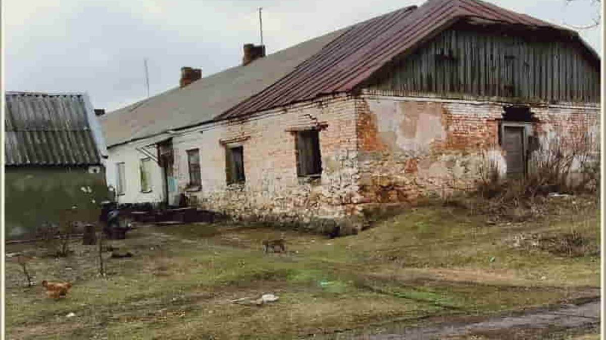 Будний день в запорожском селе (фото)