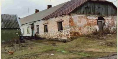 Будний день в запорожском селе (фото)