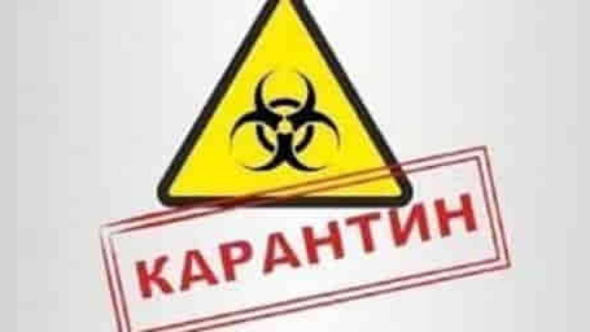 Запорожская область может покинуть “красную зону” по коронавирусу