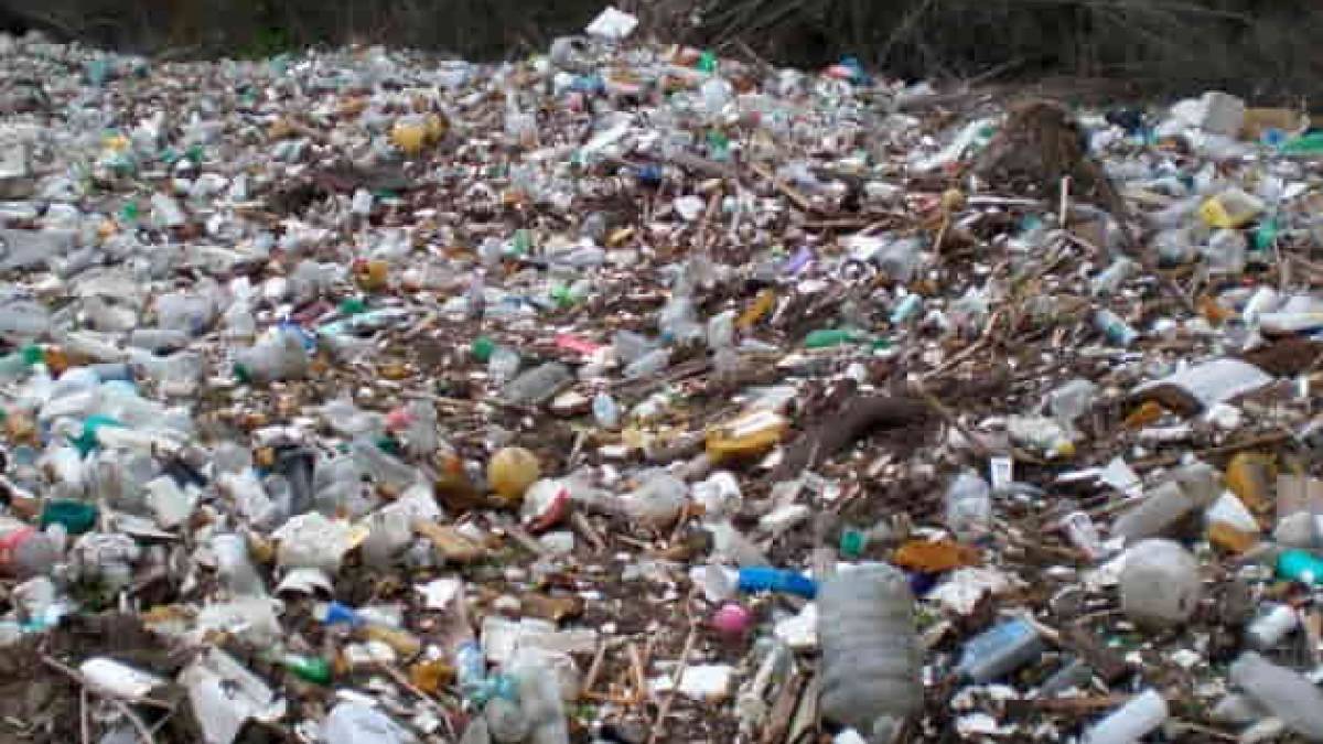 Громади Запорізької області залучатимуть до вирішення екологічних проблем