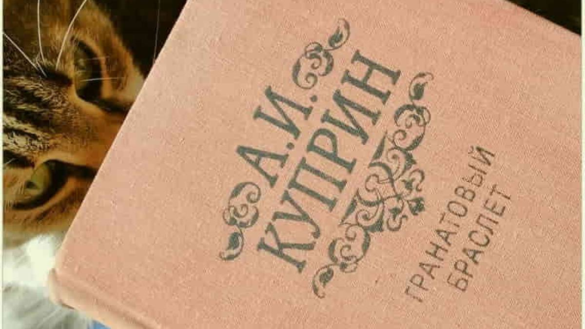 В Запорожье ищут хорошие руки для “Гранатового браслета”