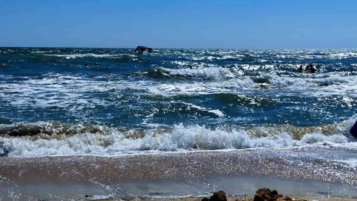 «В Бердянске будет шумно и весело!»