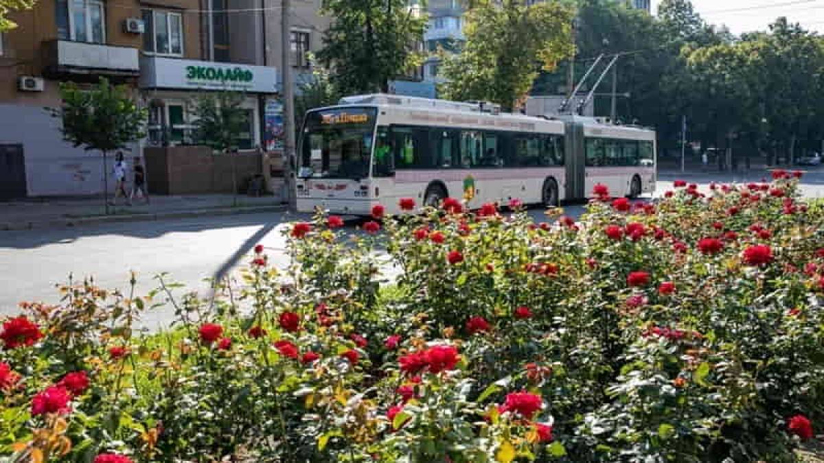 В Запорожье возобновили льготный проезд для пенсионеров