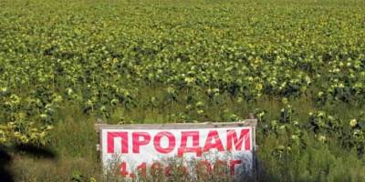 Сколько стоит земля в Запорожской области?