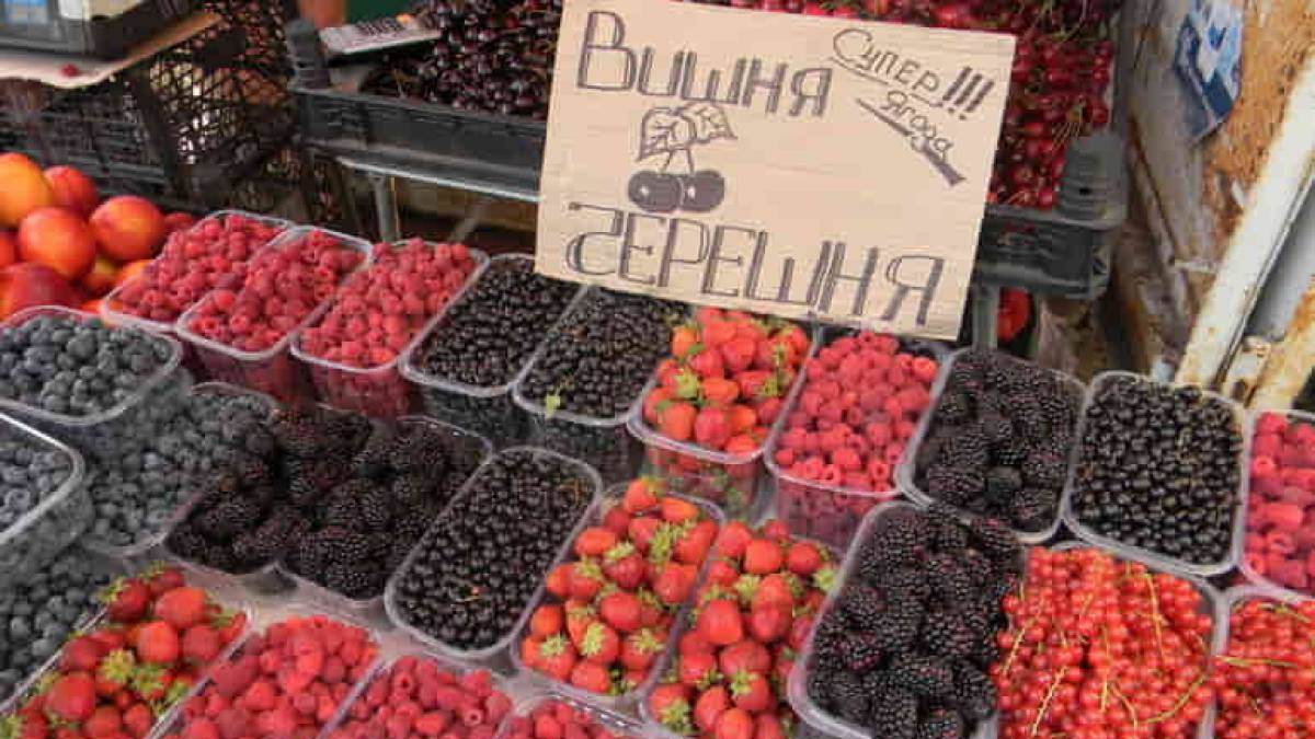 Домашняя консервация в этом году влетит запорожцам в копеечку