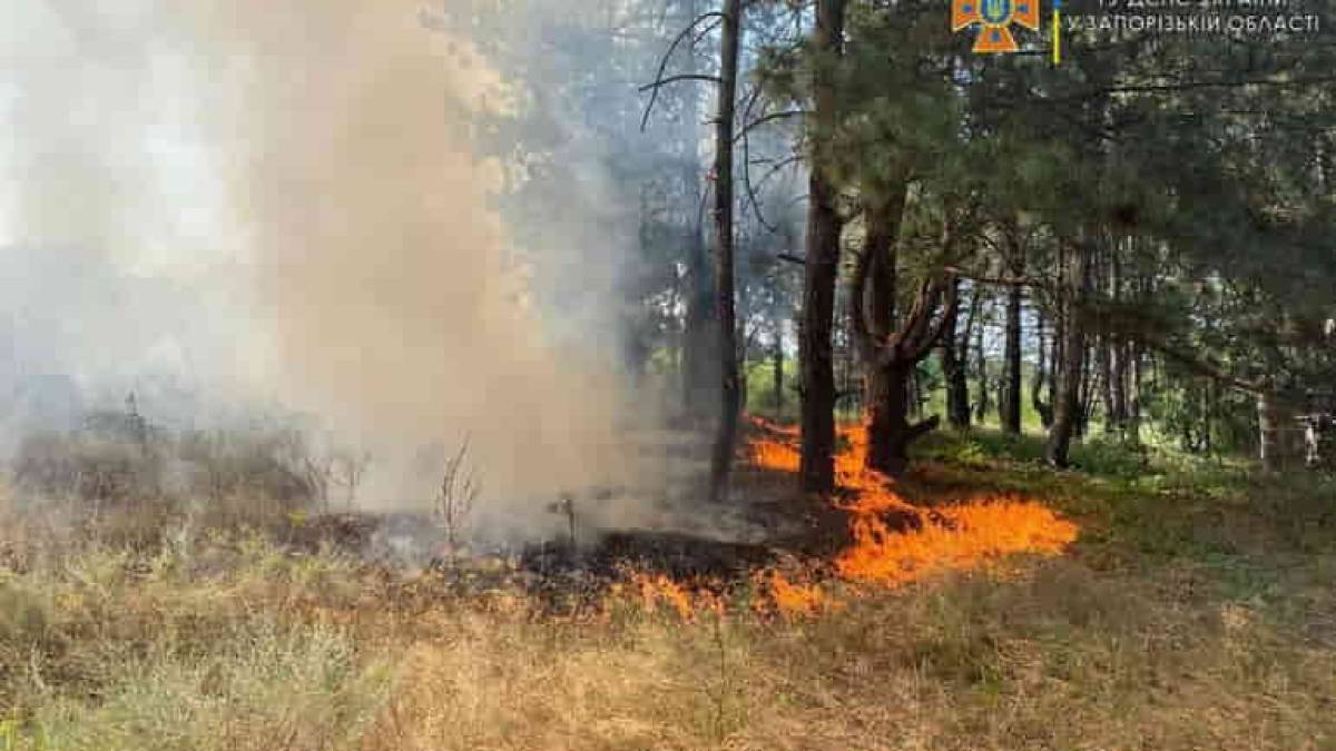 На Хортиці загасили масштабну пожежу