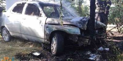 На запорізьких трасах згоріло два автомобіля