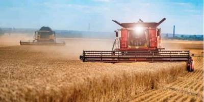 На Запоріжжі очікують рекордного врожаю