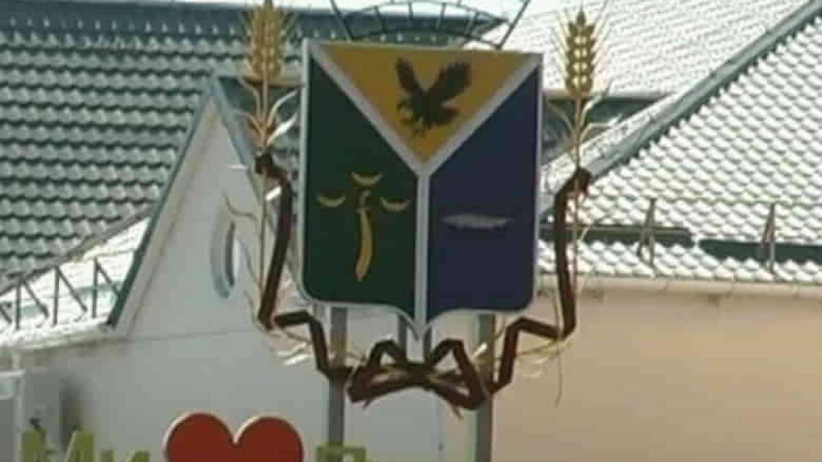 Жители Приморска признались в любви своему городу