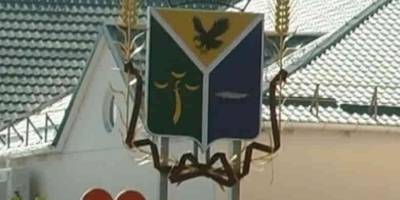 Жители Приморска признались в любви своему городу