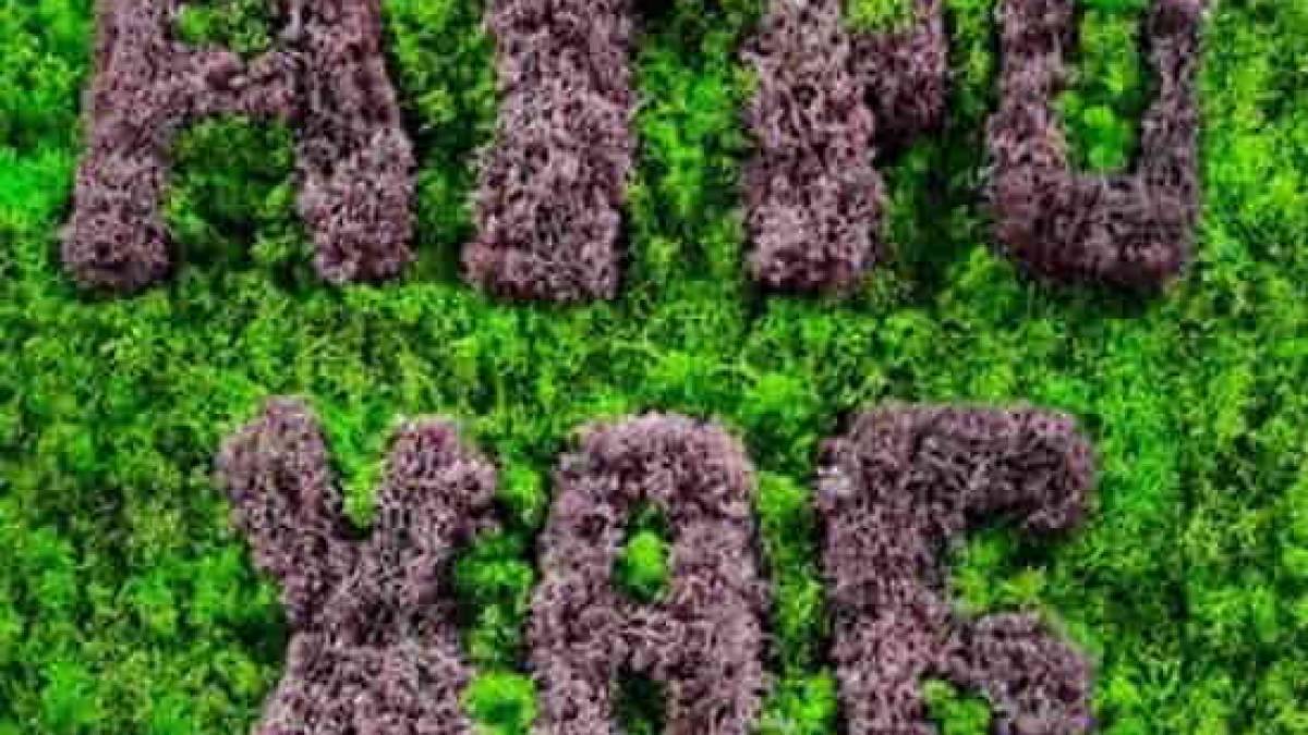 Запорізьких виробників сільгосппродукції запрошують на консультації до Агрохабу