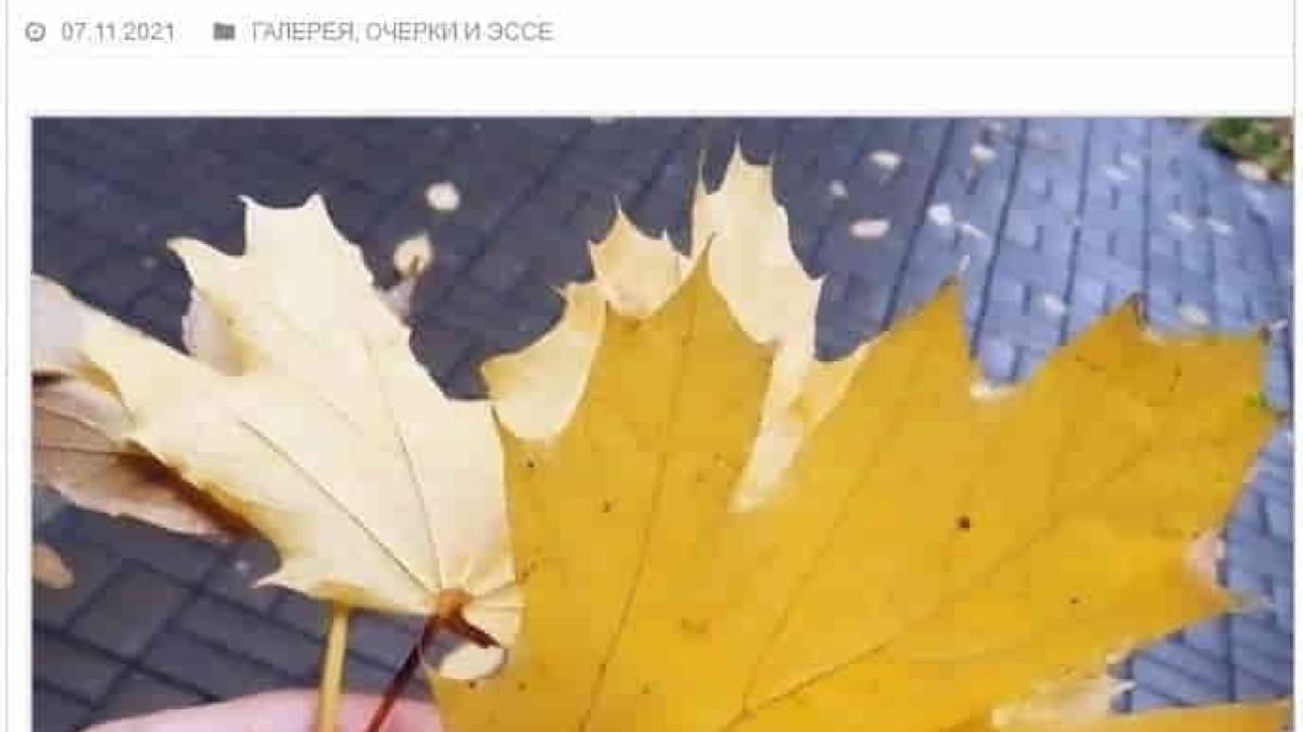 Нетрадиционные новости из Запорожья можно почитать в американском журнале
