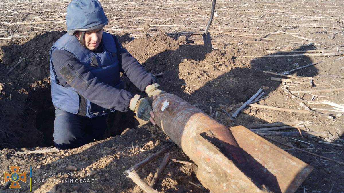 Небезпечне “збіжжя” зібрали у полі поруч з Дружелюбівкою