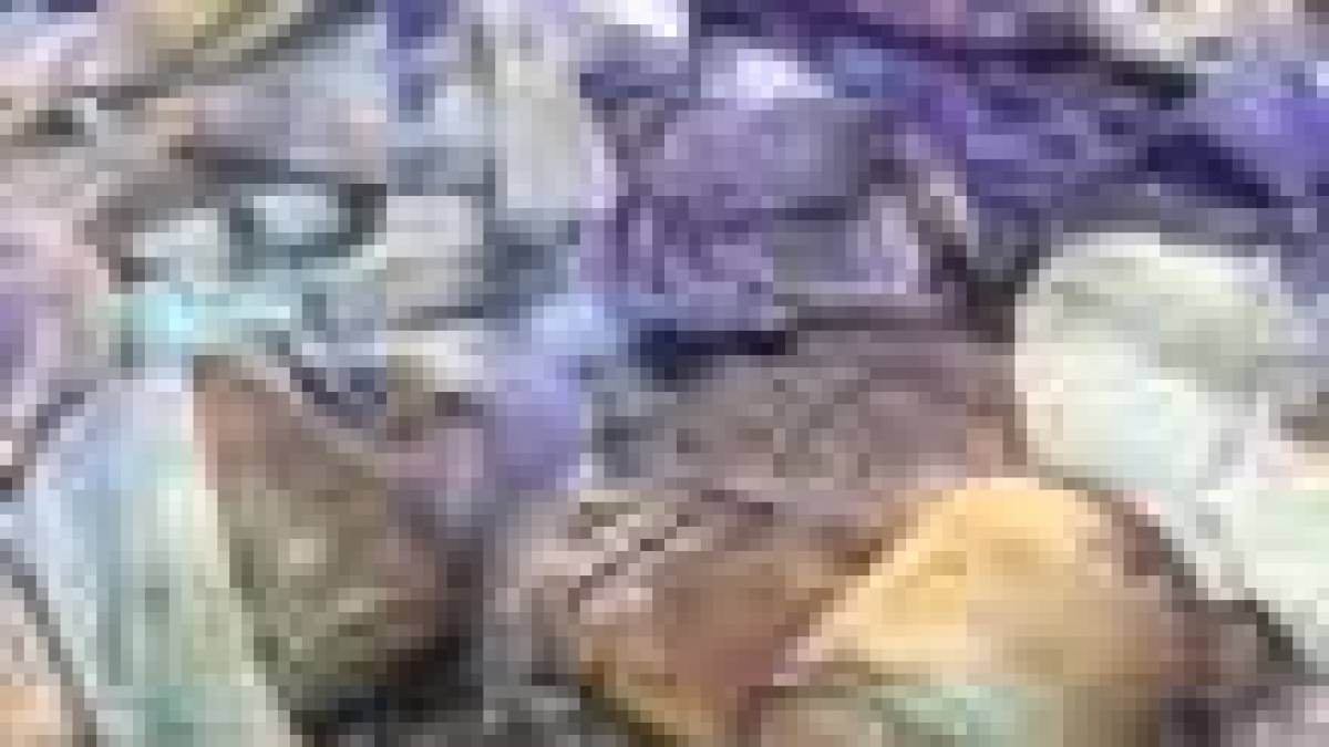 На Хортице нашли свалку химических отходов