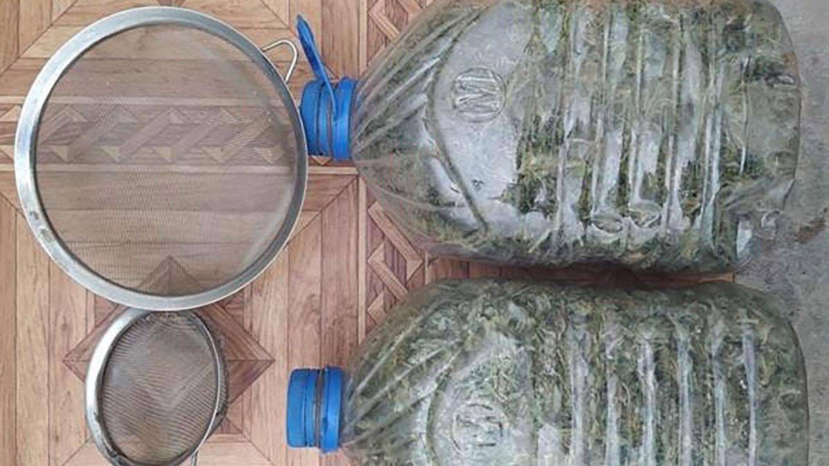 У Кам’янкі-Дніпровській ростуть не лише огірки