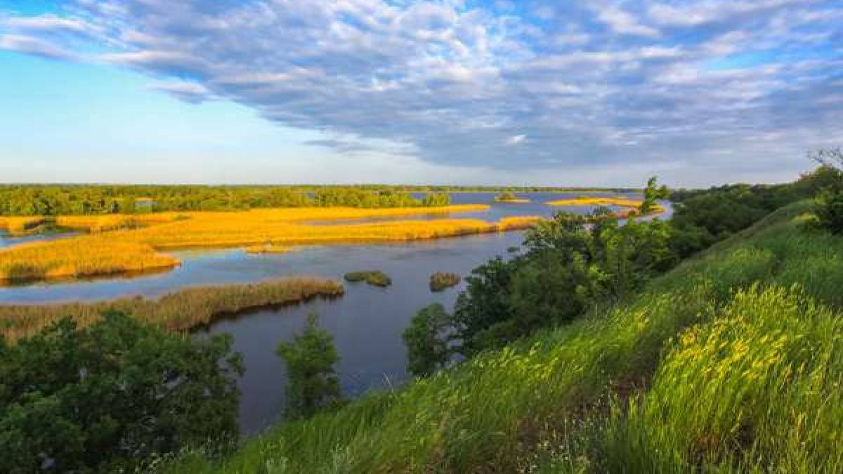 Ділки вирішили пожити на Великому Лузі безкоштовно
