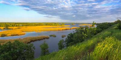 Ділки вирішили пожити на Великому Лузі безкоштовно