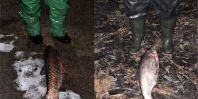 В Запорожском районе рыбак за сутки поймал два штрафа за незаконный лов рыбы