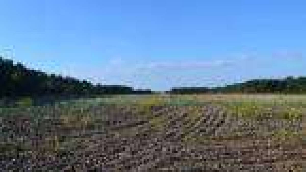 Громаді повернули земельну ділянку вартістю понад 81 мільйон
