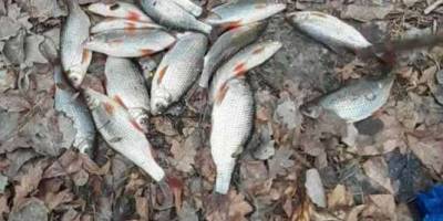 В акваторії Каховського водосховища правопорушники завдали понад 87 тис. грн збитків