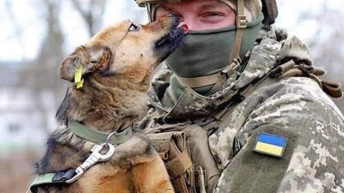 Украинские пограничники показали собак, которые защищают Украину