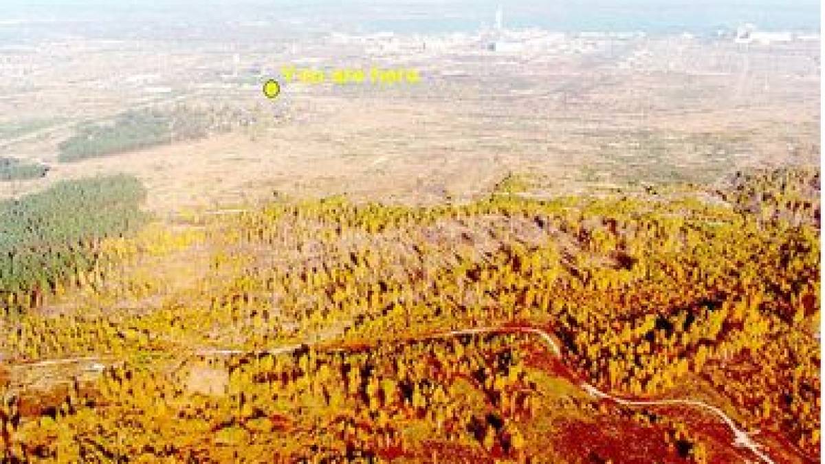 Вояки рф вирили окопи у радіоактивному Рудому лісі