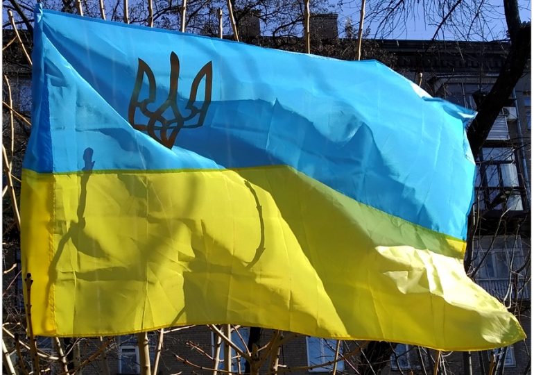 Запорожцы вывешивают украинские флаги прямо на деревьях (фото)