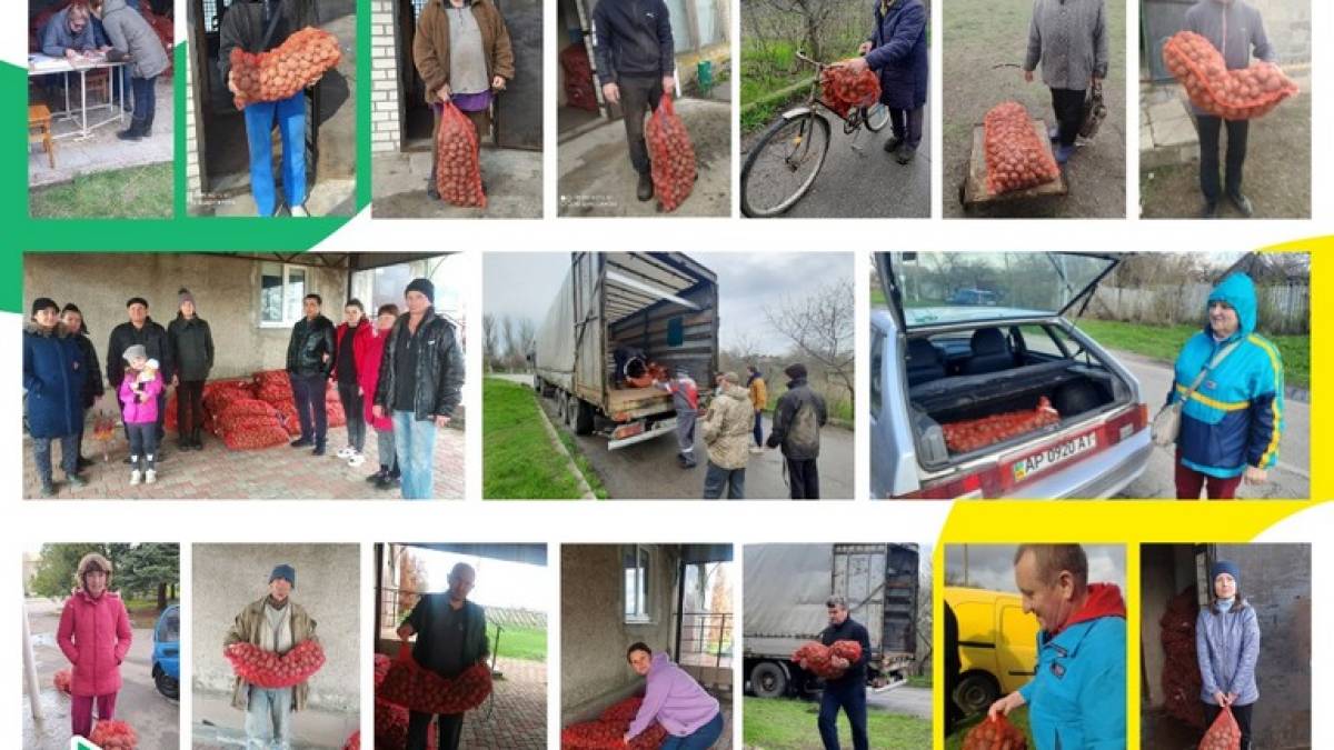 Громади на Запоріжжі  отримали від ООН картоплю для посадки (оновлено)