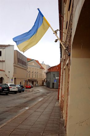 - прапор на вулиці і гасло на Вільнюській ратуші.