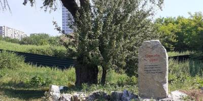 Запорізькі активісти навели лад коло Тарасової груші