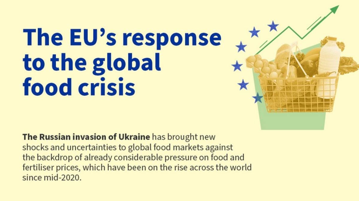 ЄС запустив сторінку із  поясненням, хто спричиняє продовольчу кризу