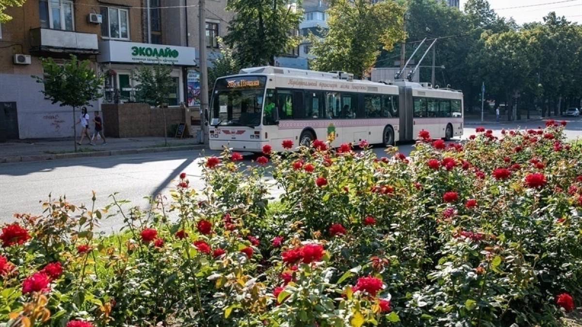 О работе в Запорожье 29 июня общественного транспорта
