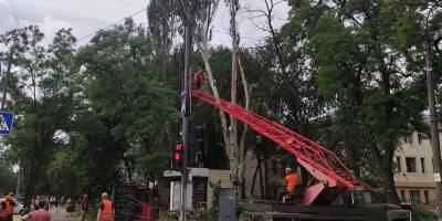 У центрі Запоріжжя тривають роботи з благоустрою