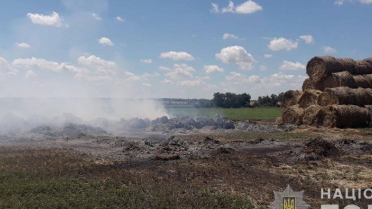 Внаслідок обстрілів з боку російських окупантів у Запорізькій області вигоріло близько 600 гектарів зернових культур